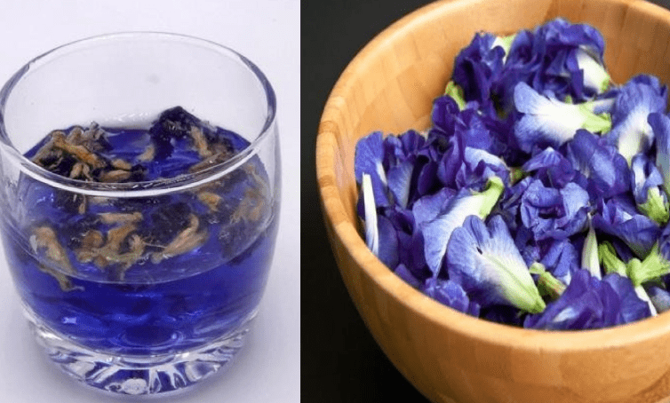 蝶豆花