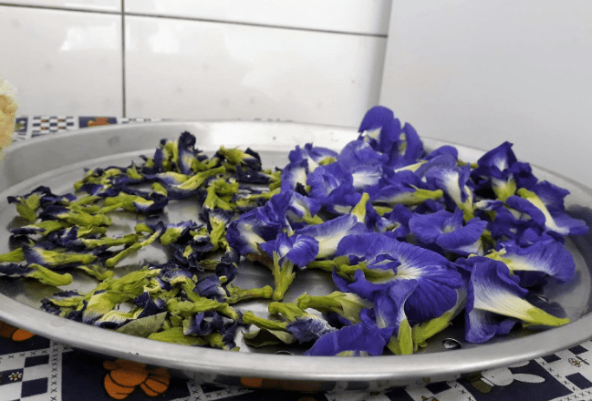 蝶豆花禁忌 蝶豆花禁忌